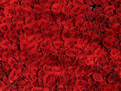 Композитор Раймонд Паулс заявил о готовности уйти со сцены - Литва и страны Балтии