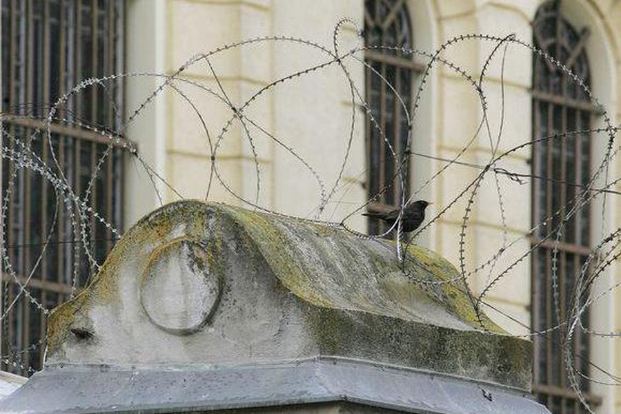 За смертельно избитого сына отсудили у Литвы более 100 000 литов                                                                 - Происшествия и криминал