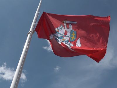 Исторический флаг  Литовского государства вновь развевается над городом - В Висагинасе