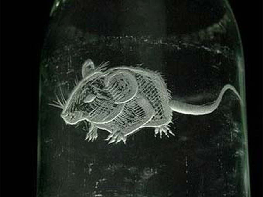 В Великобритании появился таинственный художник-стеклорез - Хобби, отдых и развлечения