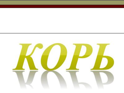 Елена Дзюба: «Кори у нас не было более 30 лет» - В Висагинасе