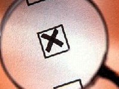 В Литве началось досрочное голосование на президентских выборах - Литва и страны Балтии