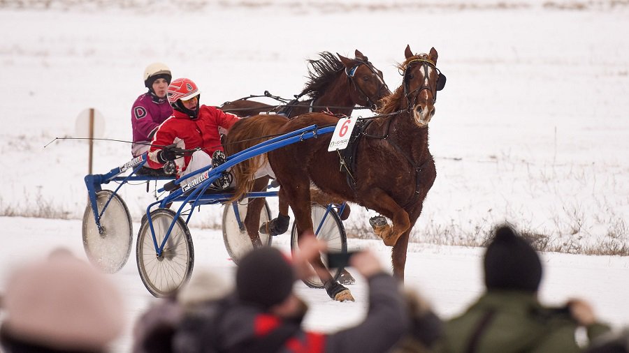 "Сартай 2020" из-за погоды отменяются - Культурные и спортивные мероприятия