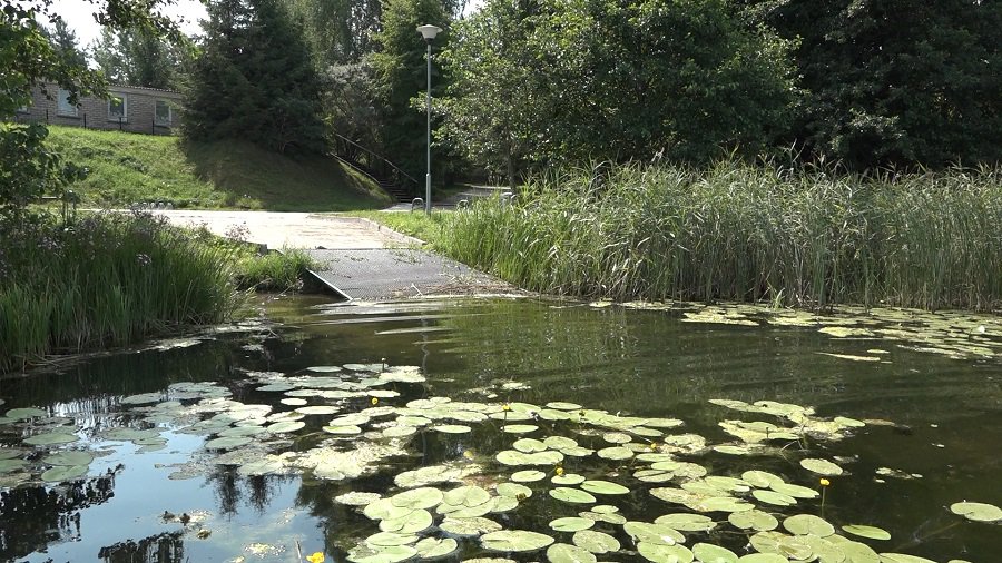 Зачем нужен второй спуск на воду на берегу озера Друкшяй с/о «Вишня»? (видео) - В Висагинасе