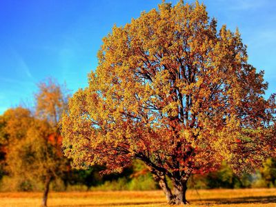 Погода: осадков будет немного, но температура будет понижаться - Литва и страны Балтии