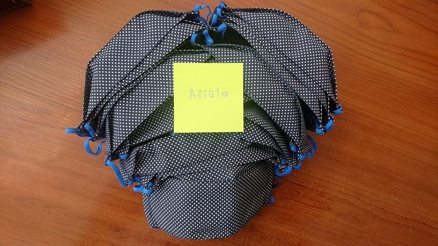 Добровольцам от имени всех висагинцев – огромное спасибо! - В Висагинасе