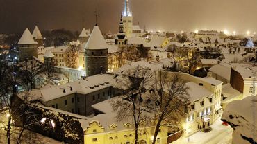 В Новый год премьер Литвы посмотрит на введение евро в Эстонии

