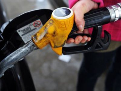 Водители не спешат запасаться дешевым дизельным топливом - Хобби, отдых и развлечения