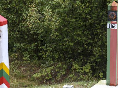 МИД: убежище в Литве законно запросили 2 мигранта - Литва и страны Балтии