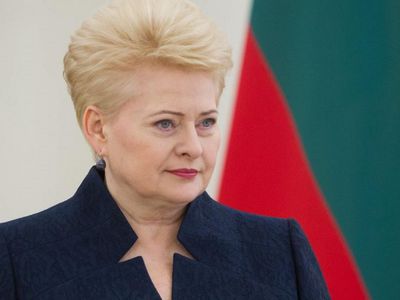 Президент Литвы отказалась подписать закон, смягчающий требования к проведению референдума - Литва и страны Балтии
