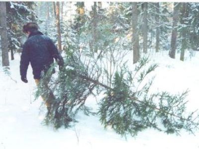  Informuoja policijos komisariatas                               - Įvykiai ir kriminalas