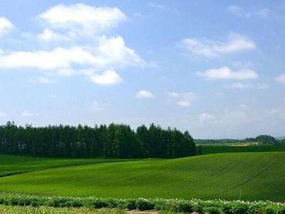 Либералы оспорят решение провести в Литве референдум о продлении запрета продажи земли иностранцам
 - Литва и страны Балтии