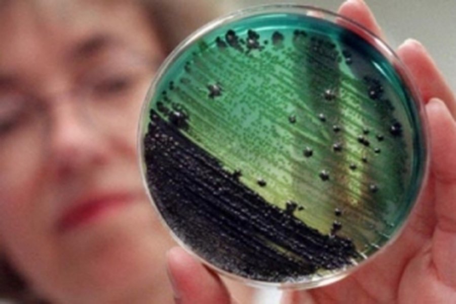 Осторожно: Пищевые заразные заболевания                                                                                                                - В Висагинасе