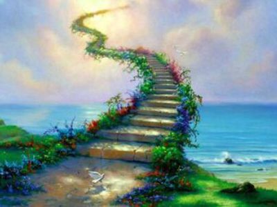 Сны и сновидения: чем мозг занимается по ночам? - Наука и здоровье