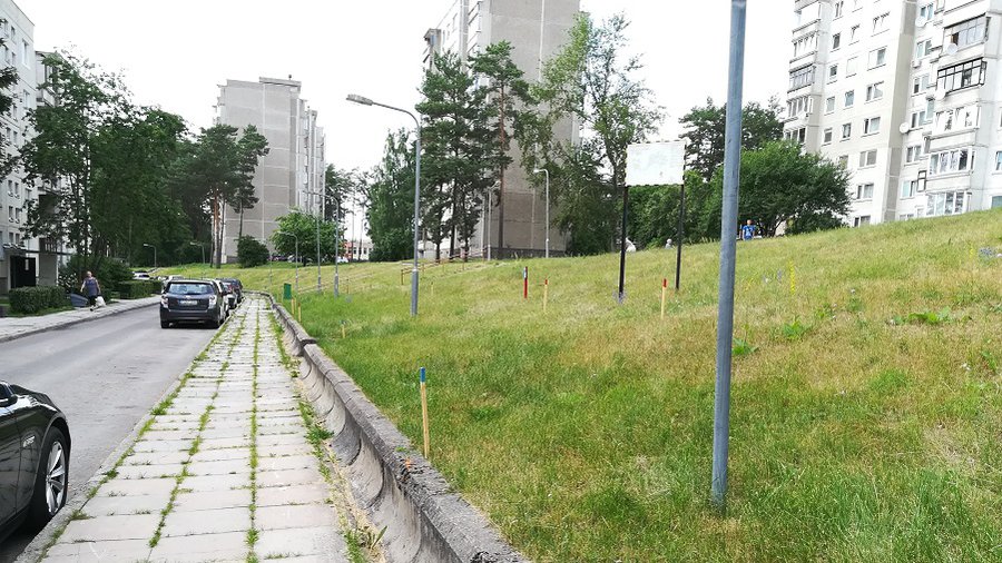 Реконструкция ул. Вильтес: объем работ и их стоимость - В Висагинасе