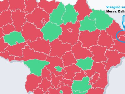 В проекте «Metų meras» есть и мэр Висагинаса Даля Штраупайте - В Висагинасе