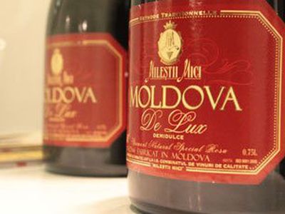 Молдаванам дали пять лет на отказ от шампанского и коньяка - Хобби, отдых и развлечения