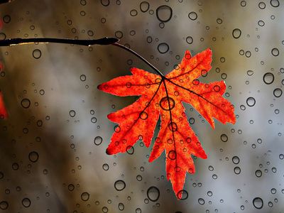 Прогноз: в Литву идет циклон Бригитта - Литва и страны Балтии