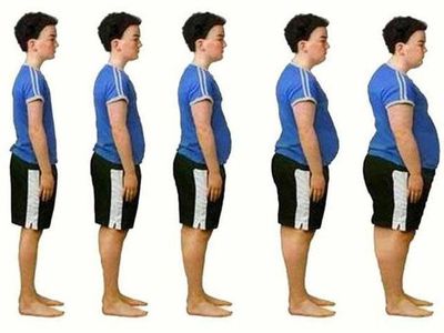  В мировой эпидемии ожирения виноват углекислый газ, считает датский исследователь - Наука и здоровье