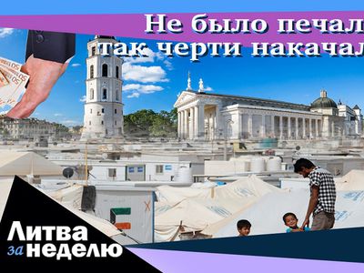 Месть нелегалами, взятка в парламенте и горе из-за длинного языка: Литва за неделю (видео) - Литва и страны Балтии