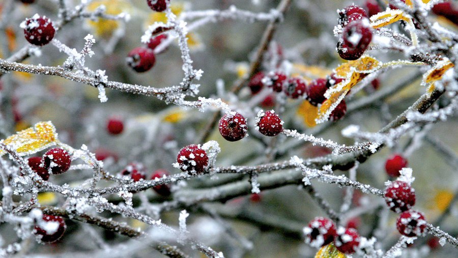 Погода: грядут неприятные перемены - Литва и страны Балтии