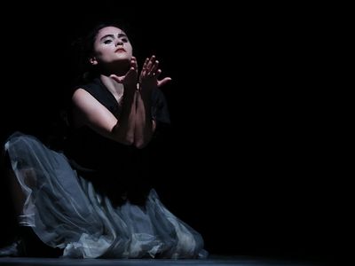 Lietuvoje pirmąkart Armėnijos choreografė - Visagine