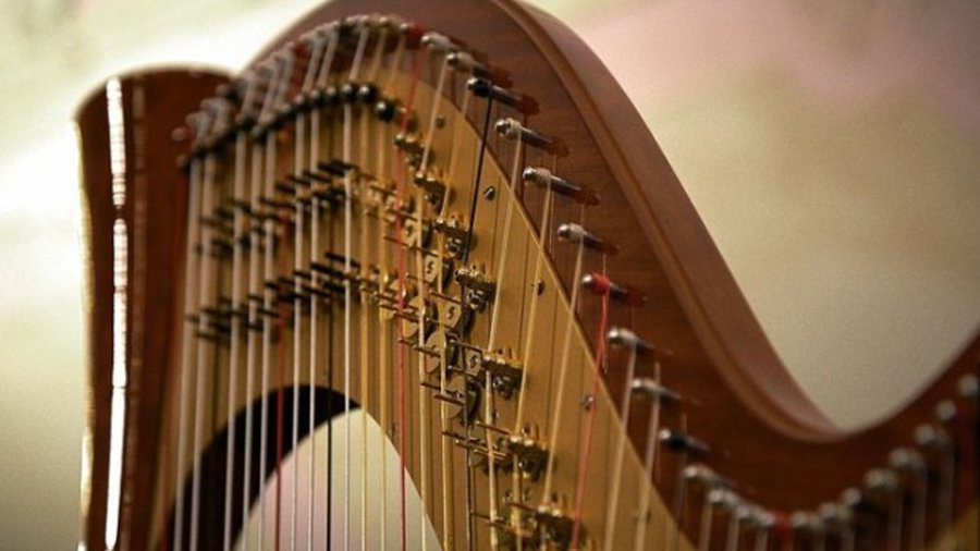 Танцуем оперу - В Висагинасе