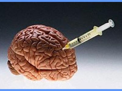 Сводка криминальных происшествий 2008-11-17 - Происшествия и криминал