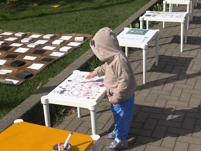 «Žaliasis taškas» приглашает на бесплатный цикл онлайн-занятий по экологической грамотности (видео) - В Висагинасе