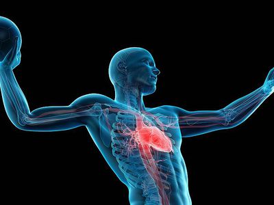 Во Франции ученые выясняют причины феномена внезапной смерти спортсменов - Наука и здоровье