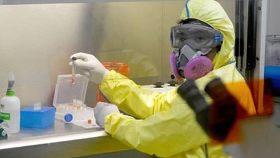 Риск эпидемии чумы реален? - Наука и здоровье