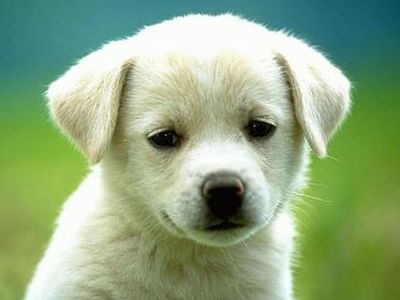 Žmonių gerumas daug ką gali...ačiū visiems padėjusiems                                 - Visagine