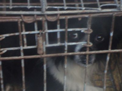 На «польты» пойдут?                                                                                                                                    - В Висагинасе