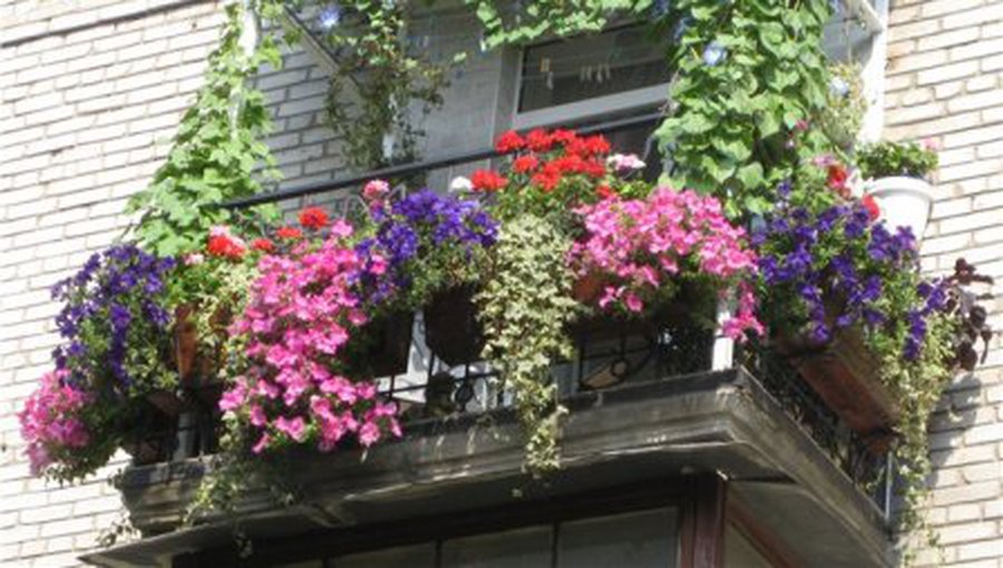 Kviečiame! - Visagine