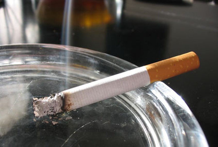 Капля \"табачного масла\" убивает кошку                 - Наука и здоровье