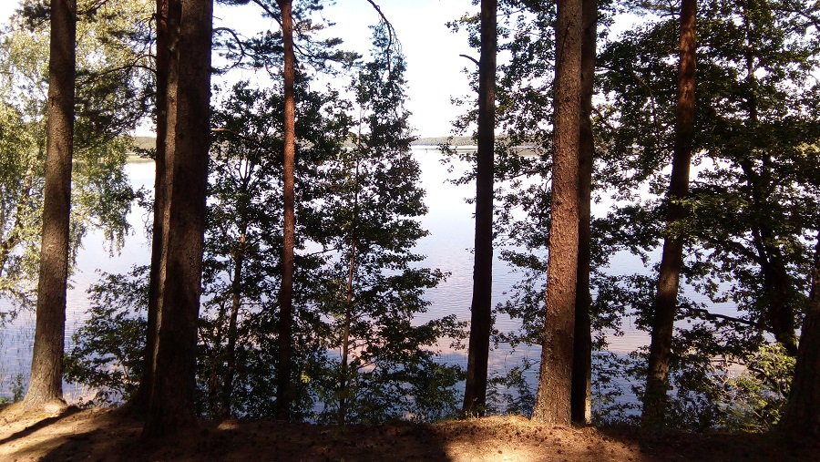 Внимание! Новый фотоконкурс "Наедине с природой" - Конкурсы для читателей