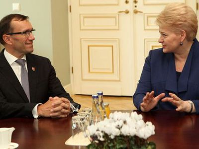 Президент: после прокладки линии в Швецию вырастет импорт дешевой электроэнергии - Энергетика