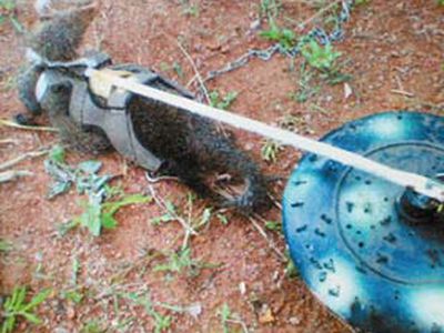 Наука и жизнь: Бюро иностранной научно-технической информации. 2009-01-18 - Наука и здоровье