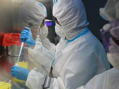 Оксфордский университет сообщил об атаке хакеров на лабораторию, исследовавшую коронавирус - В Мире