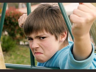 Победители ведут себя агрессивно по отношению к проигравшим - Наука и здоровье