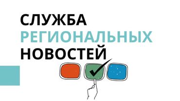 В апреле в Висагинасе снова могут пройти выборы мэра