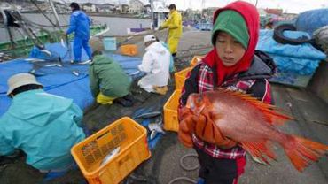 Фукусима продолжает загрязнять океан