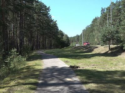 Мэр предложил Дирекции автомобильных дорог решить две висагинские проблемы - В Висагинасе