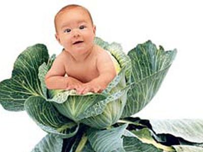 В России узаконили суррогатное материнство                                                                 - В Мире