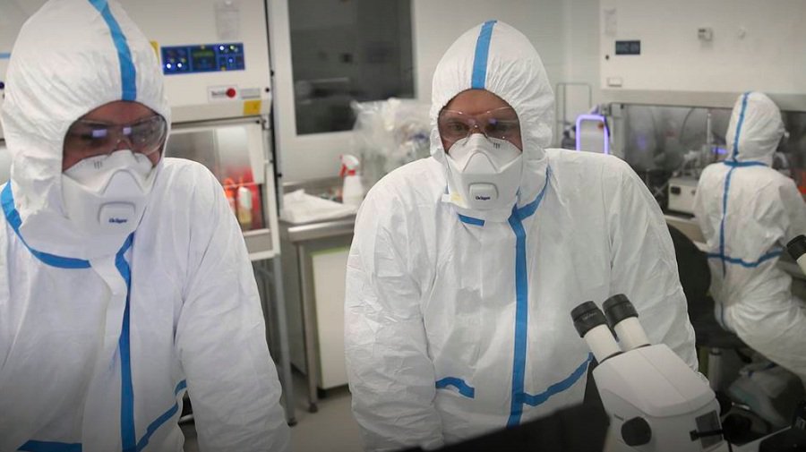 Южноафриканский штамм коронавируса B.1.1.529 выявили в Бельгии - Наука и здоровье