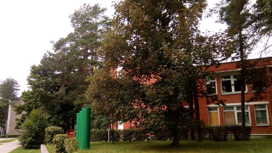 Здание 1-го детсада может быть снесено. Но является ли оно «трущобой» из трущоб? - В Висагинасе