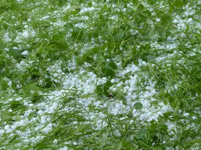 Синоптик рассказала, как долго еще продержится теплая погода - Литва и страны Балтии