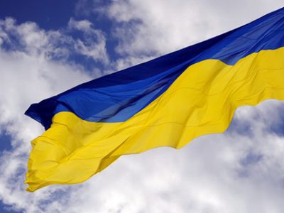 На Украине готовят референдум по евроинтеграции - В Мире