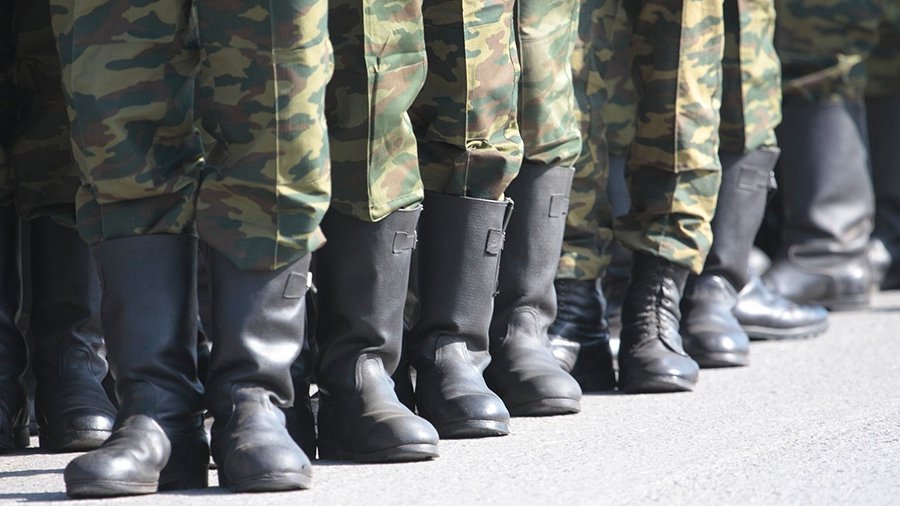 Могут ли в Литве вернуть обязательную военную службу? - Литва и страны Балтии