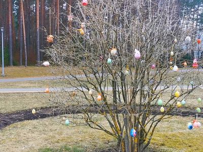 Laida "Savaitės kontūrai" 2025 04 16 (video) - Visagine